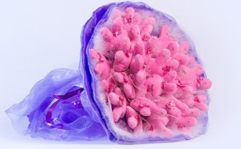 Букет из игрушек Toy Bouquet \"Зайчата\", цвет: фиолетовый, 25 игрушек