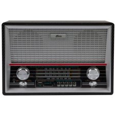 Радиоприемник Ritmix RPR-101 Black