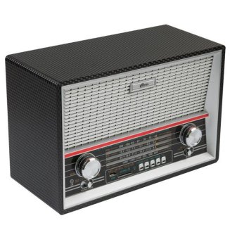 Радиоприемник Ritmix RPR-101 Black